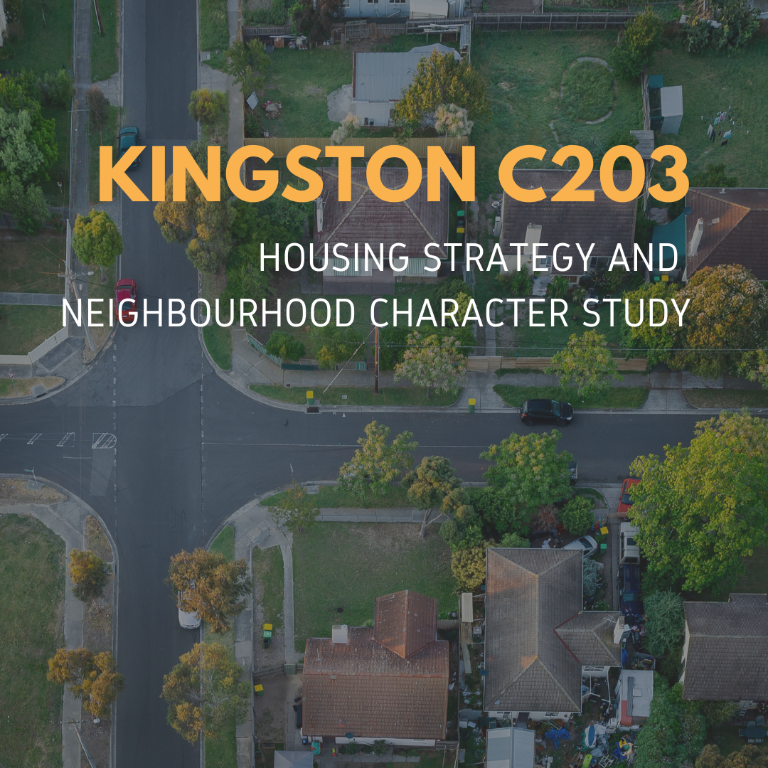 Kingston C203